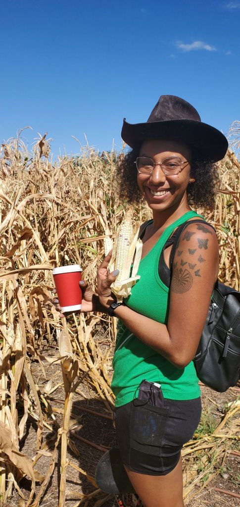 Harvesting corn at a place where I used to volunteer. 